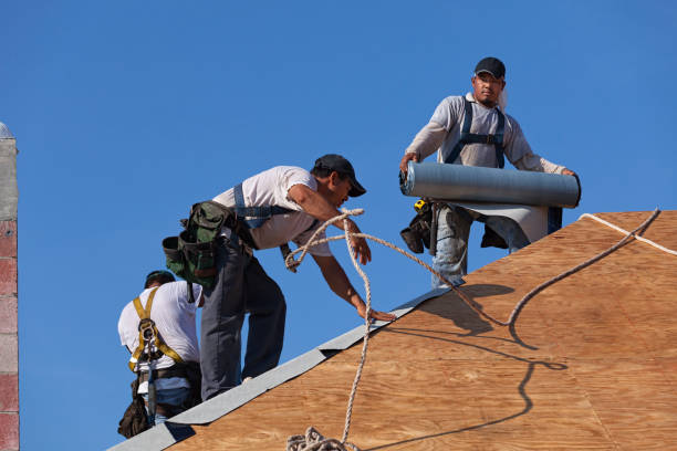 Best Metal Roofing Contractor  in Louisiana, MO