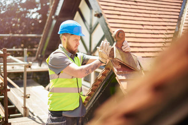 Professional Roofing Contractor in Louisiana, MO